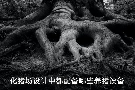 微型遠(yuǎn)程自動化養(yǎng)豬設(shè)備,自動化養(yǎng)豬設(shè)備