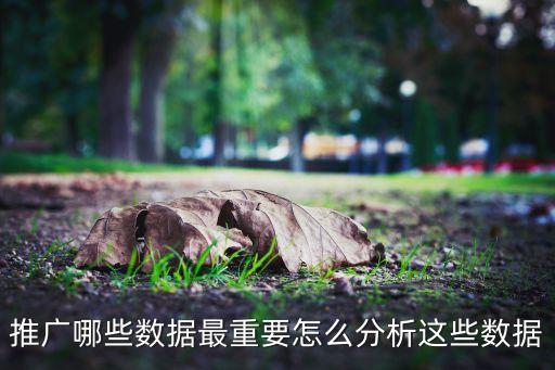 百度公司數(shù)據(jù)統(tǒng)計,百度公司數(shù)據(jù)分析