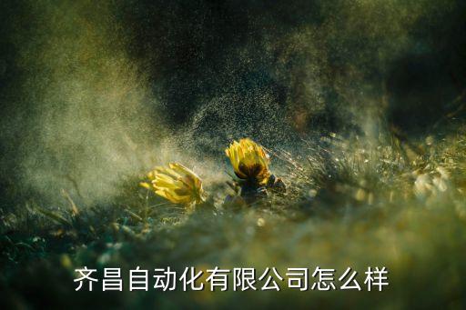 齊昌自動化有限公司怎么樣