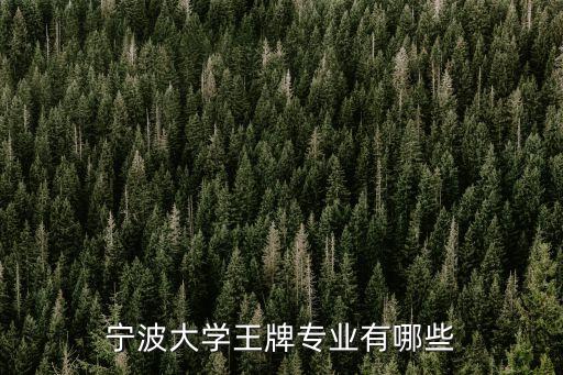 寧波大學王牌專業(yè)有哪些