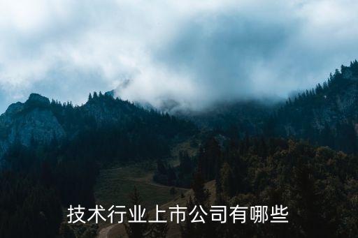技術(shù)行業(yè)上市公司有哪些