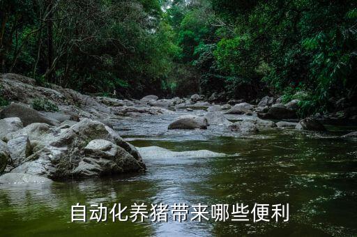 武威自動化養(yǎng)豬設(shè)備批發(fā),湖南自動化養(yǎng)豬設(shè)備批發(fā)