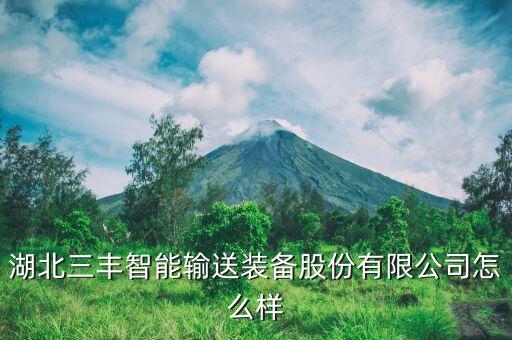 湖北三豐智能輸送裝備股份有限公司怎么樣