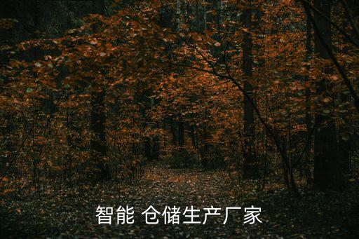 智能 倉(cāng)儲(chǔ)生產(chǎn)廠家