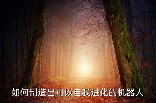 如何制造出可以自我進(jìn)化的機(jī)器人