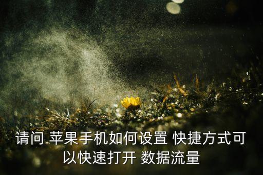 請(qǐng)問 蘋果手機(jī)如何設(shè)置 快捷方式可以快速打開 數(shù)據(jù)流量