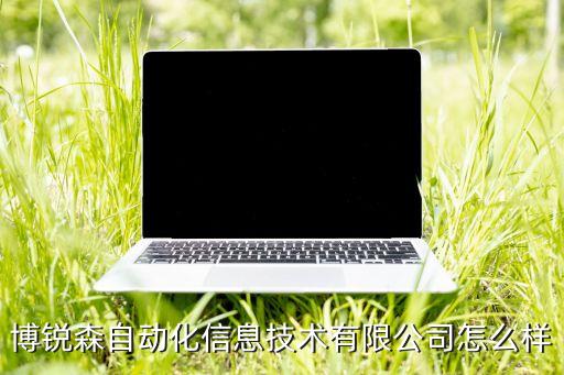 博銳森自動化信息技術(shù)有限公司怎么樣