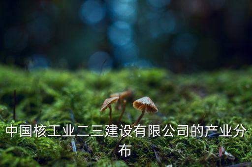 中國核工業(yè)二三建設有限公司的產業(yè)分布