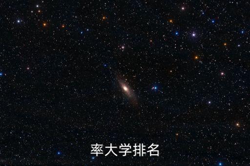 率大學(xué)排名