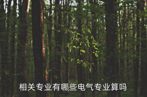 相關(guān)專業(yè)有哪些電氣專業(yè)算嗎