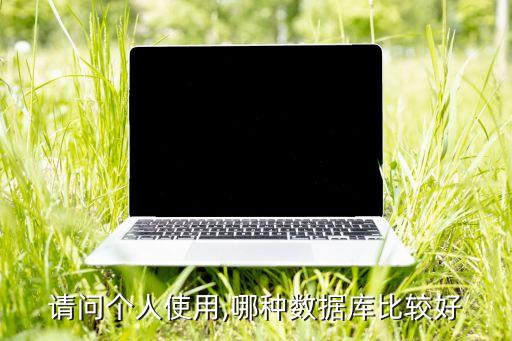 請問個(gè)人使用,哪種數(shù)據(jù)庫比較好