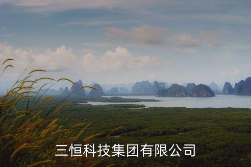 自動化儀表國際公司,上海自動化儀表有限公司怎么做?
