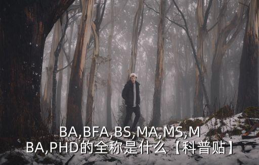 BA,BFA,BS,MA,MS,MBA,PHD的全稱(chēng)是什么【科普貼】