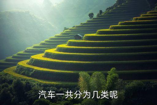 汽車類型,汽車有哪些類型?汽車車型有不同