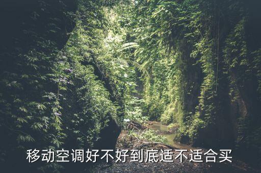 移動空調(diào)好不好到底適不適合買