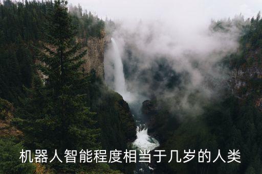 機(jī)器人智能程度相當(dāng)于幾歲的人類