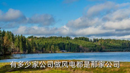 有多少家公司做風(fēng)電都是那家公司
