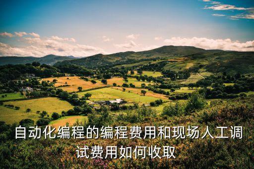  自動(dòng)化編程的編程費(fèi)用和現(xiàn)場(chǎng)人工調(diào)試費(fèi)用如何收取
