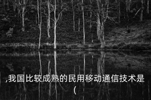 蜂窩移動(dòng)數(shù)據(jù) 當(dāng)期時(shí)間,出國(guó)時(shí)關(guān)閉蜂窩移動(dòng)數(shù)據(jù)