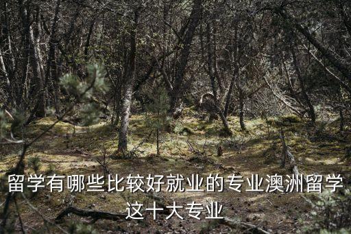 留學(xué)有哪些比較好就業(yè)的專業(yè)澳洲留學(xué)這十大專業(yè)