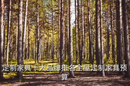 定制家具十大品牌排名全屋定制家具預(yù)算