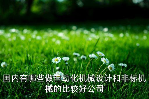 國內(nèi)有哪些做自動化機(jī)械設(shè)計和非標(biāo)機(jī)械的比較好公司