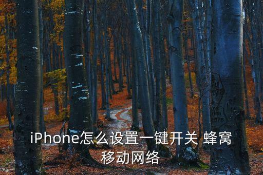 iPhone怎么設(shè)置一鍵開關(guān) 蜂窩移動(dòng)網(wǎng)絡(luò)