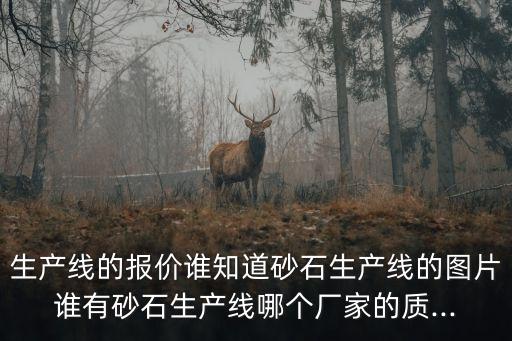 生產(chǎn)線的報價誰知道砂石生產(chǎn)線的圖片誰有砂石生產(chǎn)線哪個廠家的質(zhì)...