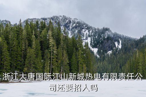浙江大唐國際江山新城熱電有限責任公司還要招人嗎