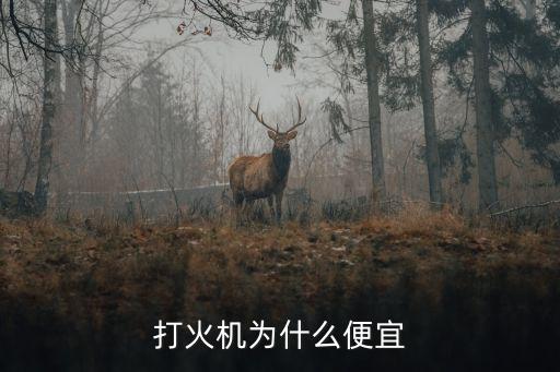 東億鏈條自動(dòng)化設(shè)備,鏈傳動(dòng)裝配線自動(dòng)化設(shè)備