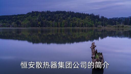 恒安散熱器集團(tuán)公司的簡介