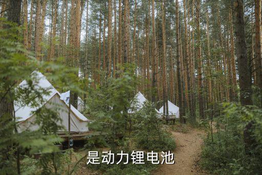 鋰電池半自動(dòng)化設(shè)備有哪些,中國鋰電池自動(dòng)化設(shè)備