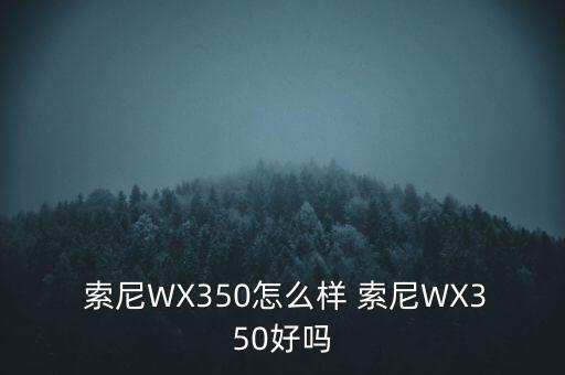  索尼WX350怎么樣 索尼WX350好嗎