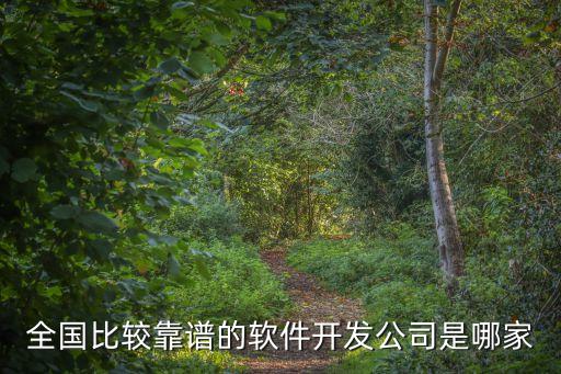 全國(guó)比較靠譜的軟件開發(fā)公司是哪家