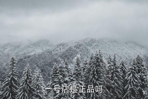 1號(hào)店商品數(shù)據(jù),商品主數(shù)據(jù)