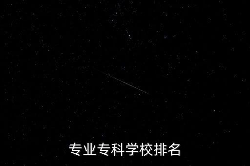 專業(yè)專科學(xué)校排名