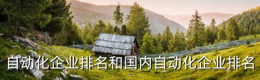 湖北汽車自動化公司排名,中國汽車企業(yè)排名在哪里?