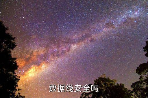 蘋果數(shù)據(jù)線鑫盾,如芯蘋果數(shù)據(jù)線
