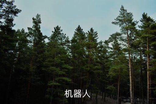 機器人