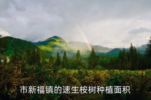 桉樹(shù)最新數(shù)據(jù),2021桉樹(shù)市場(chǎng)