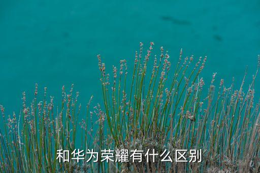 和華為榮耀有什么區(qū)別