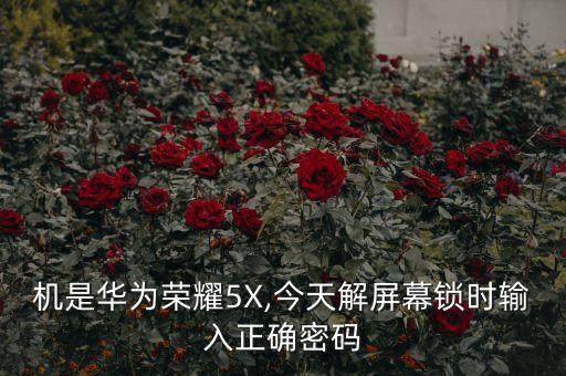 機是華為榮耀5X,今天解屏幕鎖時輸入正確密碼