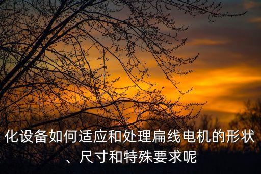 化設(shè)備如何適應(yīng)和處理扁線電機的形狀、尺寸和特殊要求呢