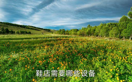 小型自動化皮鞋設(shè)備,小型家用自動化設(shè)備