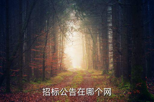 招標(biāo)公告在哪個網(wǎng)