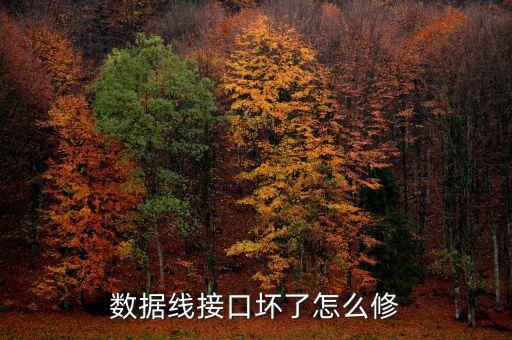 魅族數(shù)據(jù)線可以修嗎,數(shù)據(jù)線斷了怎么修,怎么修?