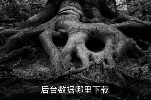 天貓?jiān)趺床榭磾?shù)據(jù),如何查看天貓銷售數(shù)據(jù)?