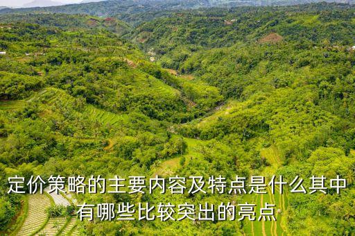 定價(jià)策略的主要內(nèi)容及特點(diǎn)是什么其中有哪些比較突出的亮點(diǎn)