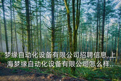 夢緣自動化設(shè)備有限公司招聘信息,上海夢緣自動化設(shè)備有限公司怎么樣...