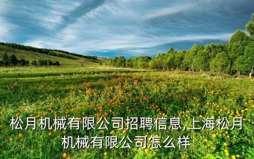 松月機(jī)械有限公司招聘信息,上海松月機(jī)械有限公司怎么樣